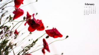 February Calendar Wallpaper Best Desktop Phone Background