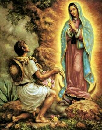 Trinity Acres Our Lady Of Guadalupe