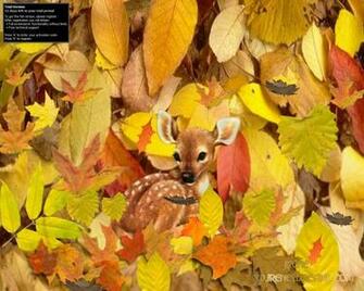 Autumnpictures