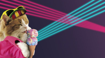 S Cat Wallpaper By Lamcnamaraxvii