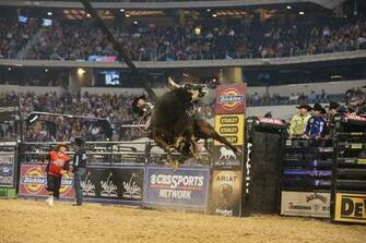 Bull Riding Background Net