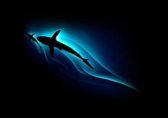 Live Wallpaper For Pc Windows Pictures
