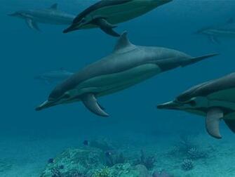3d Screensavers Dolphins Deep Sea Ocean Screensaver