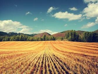 Typical Wallpaper Photo Manipulated Nature In Jpg