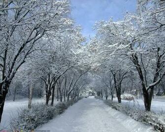Nature Winter Desktop Wallpaper For Pc Mac