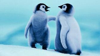 Funny Penguin Wallpaper Gallery