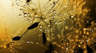Beautiful Rainy Landscapes Wallpaper HD
