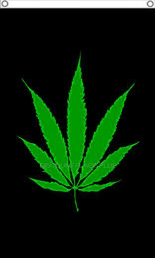 Cool Weed Leaf Marijuana Wallpaper Background X Jpeg 90kb