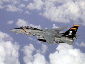 Tomcat Wallpaper X