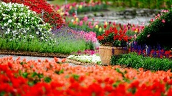 Amazing Flower Garden Wallpaper