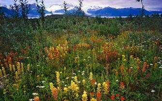 Alaska Scenery Wallpaper