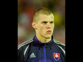 Liverpool Wallpaper Gallery Martin Skrtel