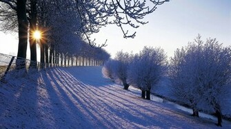 Desktop Wallpaper Winter Which Is Under The