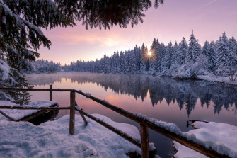 Winter Snow Trees Nature Outdoors Wallpaper HD 4k