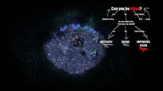 My Zerg Wallpaper I