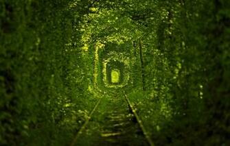 Wallpaper Tunnel Of Love Nature Tramways Ukraine