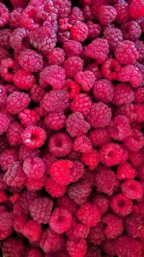 C Sangeetha On Fruit Image iPhone Wallpaper