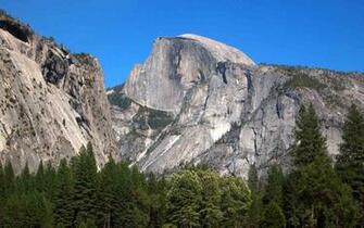 Yosemite Park Wallpaper Flower Nature HD