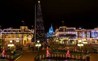 Large Christmas Tree In Disneyland Widescreen And Full HD Wallpaper