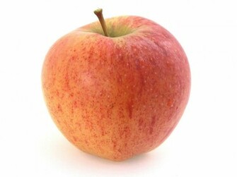 Zealand Royal Gala Red Apple On White Background Creativitywindow