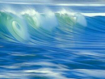 Ocean Life Screensaver Screenshot Pictures