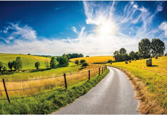Amazon Oerju Autumn Farmland Walkpath Backdrop Sun