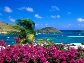 Summer Wallpaper Background