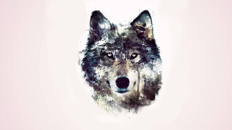 Dog Art Wallpaper