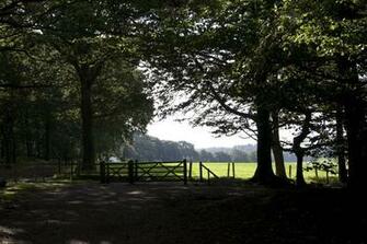 English Countryside Wallpaper