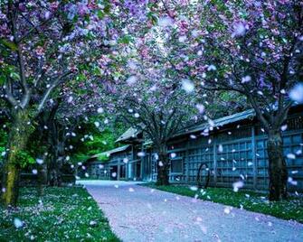 Mississauga Kariya Park Canada Landscape Photography Wallpaper