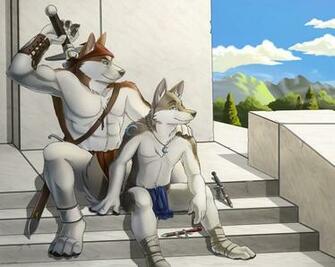 Wolf Furry Wallpaper Wallpoper