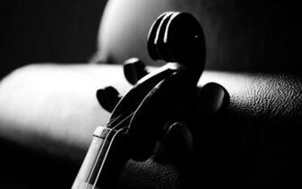 Black Violin Wallpaper Image Gallery