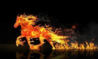 Fire Horse Wallpaper Top Background