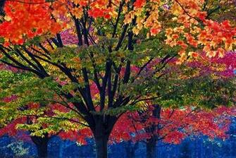 Autumn Colors National Geographic Photo Contest