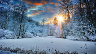 Sunbeams Landscape Snow In Winter Trees 4k Laptop HD Wallpaper