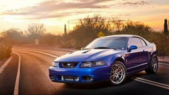 Wallpaper Cobra Terminator Car Pictures