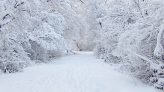 Snow Wallpaper