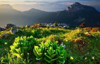Wallpaper Grass Landscape Mountains Nature Stones Vegetation