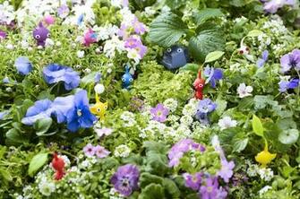Pikmin HD Wallpaper X Net