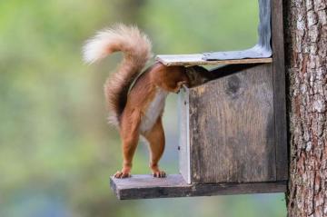 Funny Animal Pictures Cute Photos Of Wild Animals