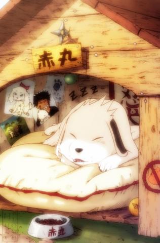 Akamaru Naruto Mobile Wallpaper Zerochan Anime Image