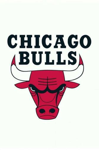 Chicago Bulls iPhone Wallpaper