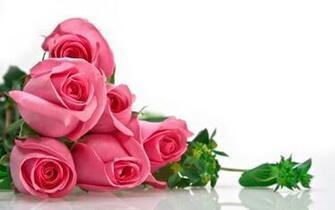 Full Screen Most Romantic Red Roses Wallpaper Background