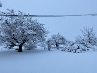 The First Widespread Snow Of Season January