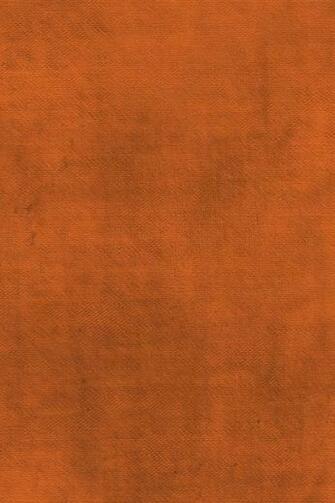 Free download iPhone 5 Wallpaper Simple orange [640x1136] for your