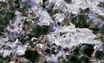 HD Wallpaper Ice Crystals Frost Permafrost Frozen Cold White