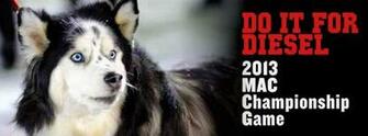 Celebrate The Great Year Run Of Beloved Niu Huskies Mascot Diesel
