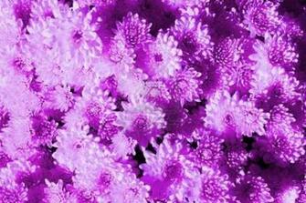 Abstract Background Background Wallpaper