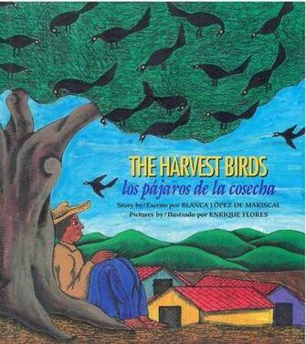 Nfl Wallpaper Best Of Harvest Birds Comprehension Questions