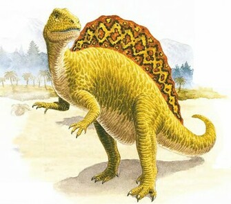 Spinosaurus With A Sail Carnivore Dinosaurs Wallpaper Image